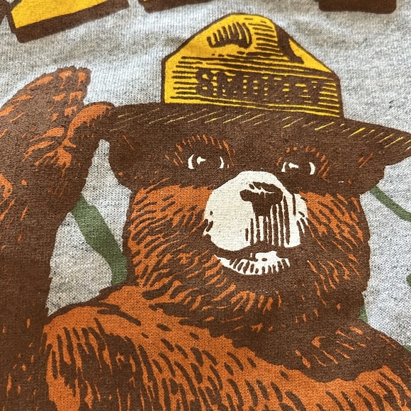 NWT Smokey Bear Fire Prevention 🔥 Tee Shirt Women’s M Wildland Firefighter Gray - Picture 15 of 16